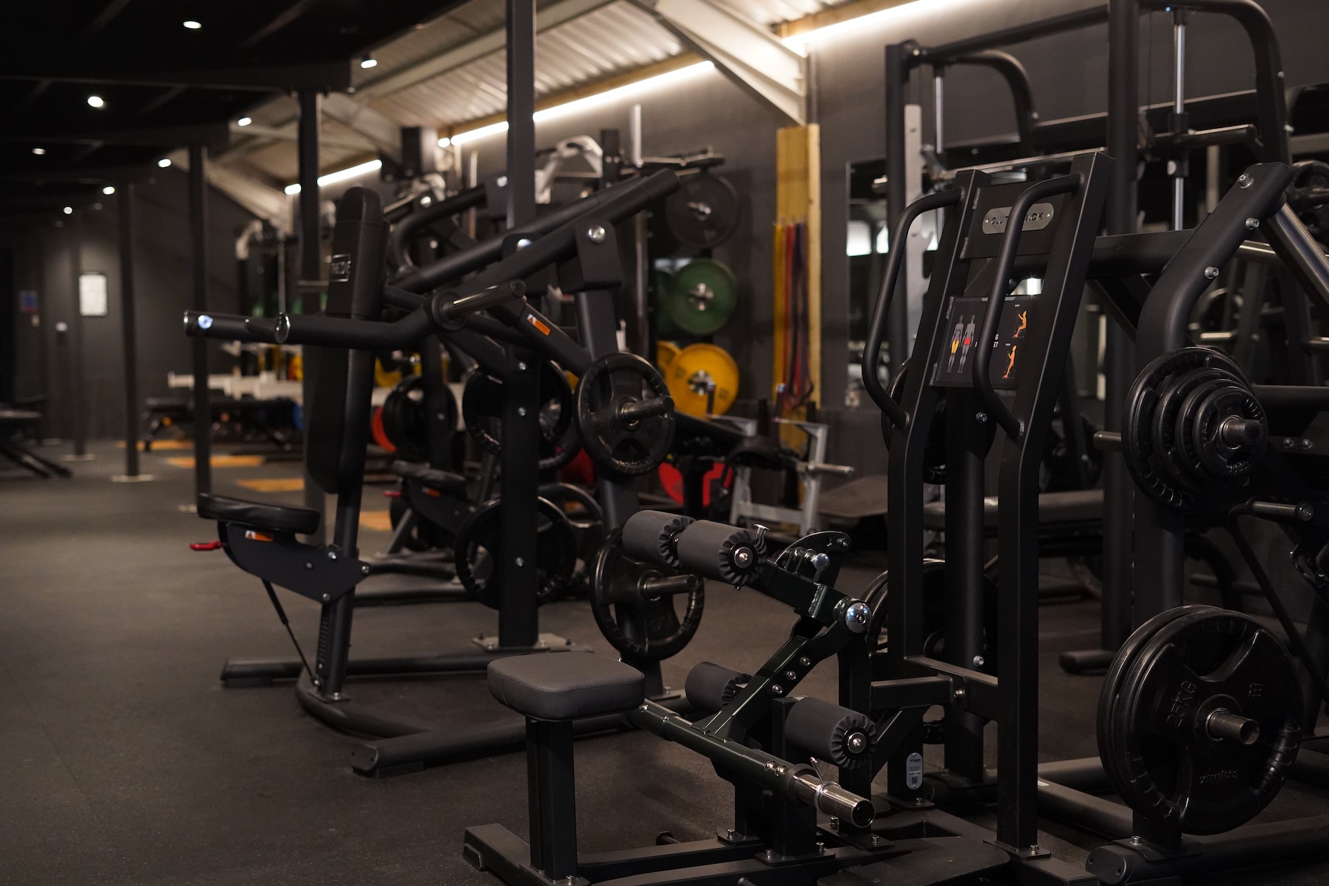 Gym floor