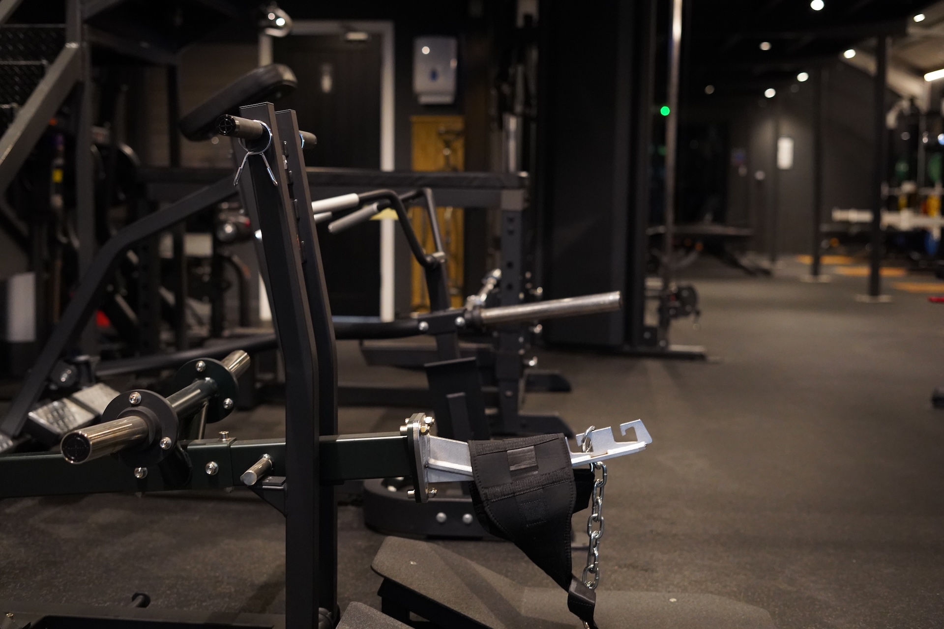 Weights area
